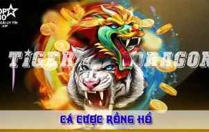 cá cược rồng hổ là gì?