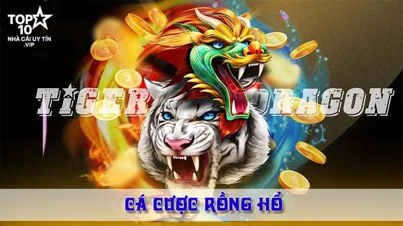 Cá Cược Rồng Hổ – Luật Chơi, Tỷ Lệ & Cách Đánh Nhanh Thắng Nhanh