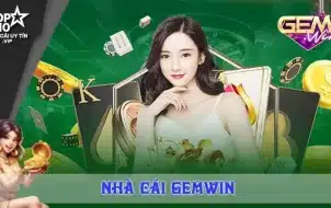 Tổng quan giới thiệu gemwin