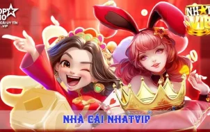 Tìm hiểu thông tin cơ bản về nhatvip