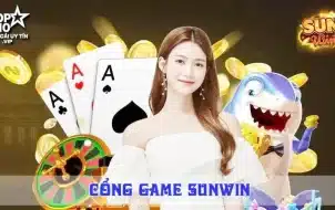 Giới thiệu về sunwin