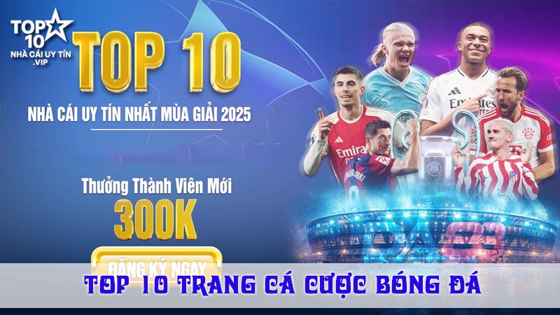 Đánh giá về giấy pehps hoạt động của nhà cái